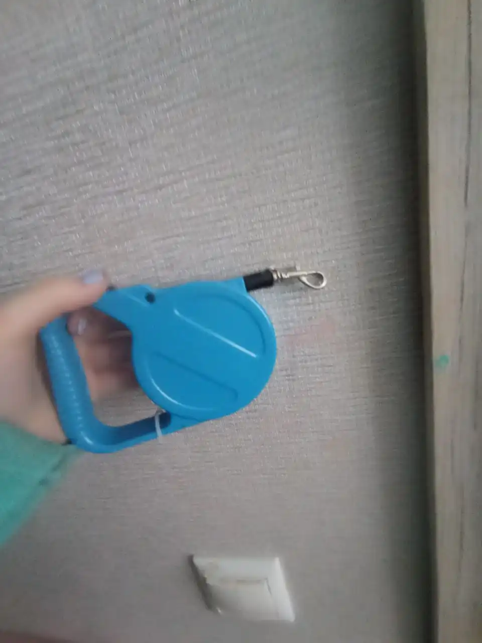 Вещи для собак: ошейники и рулетки - Товары для животных (Животные) в Подольск