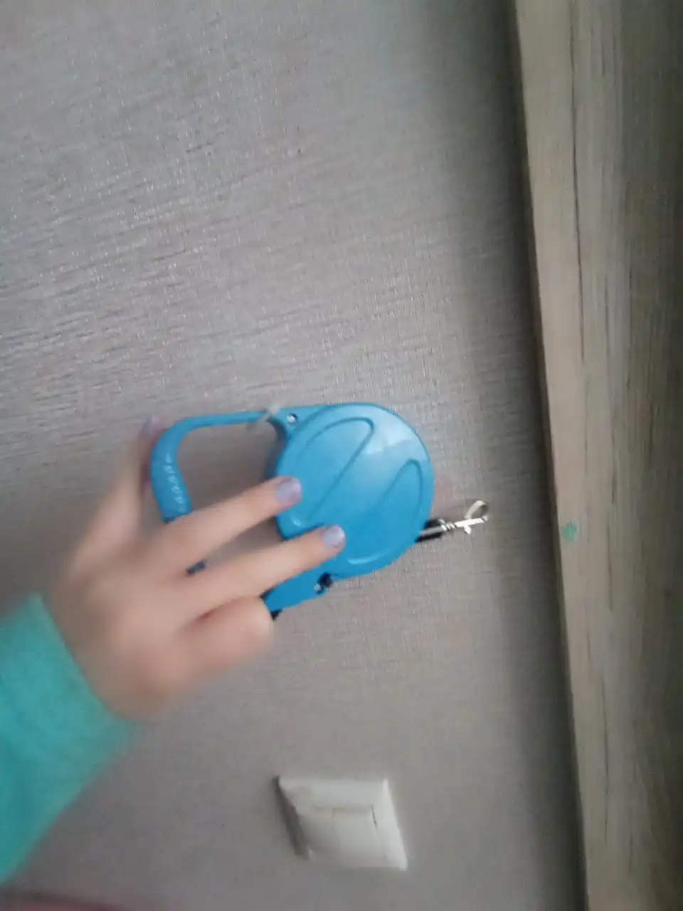 Вещи для собак: ошейники и рулетки - Товары для животных (Животные) в Подольск