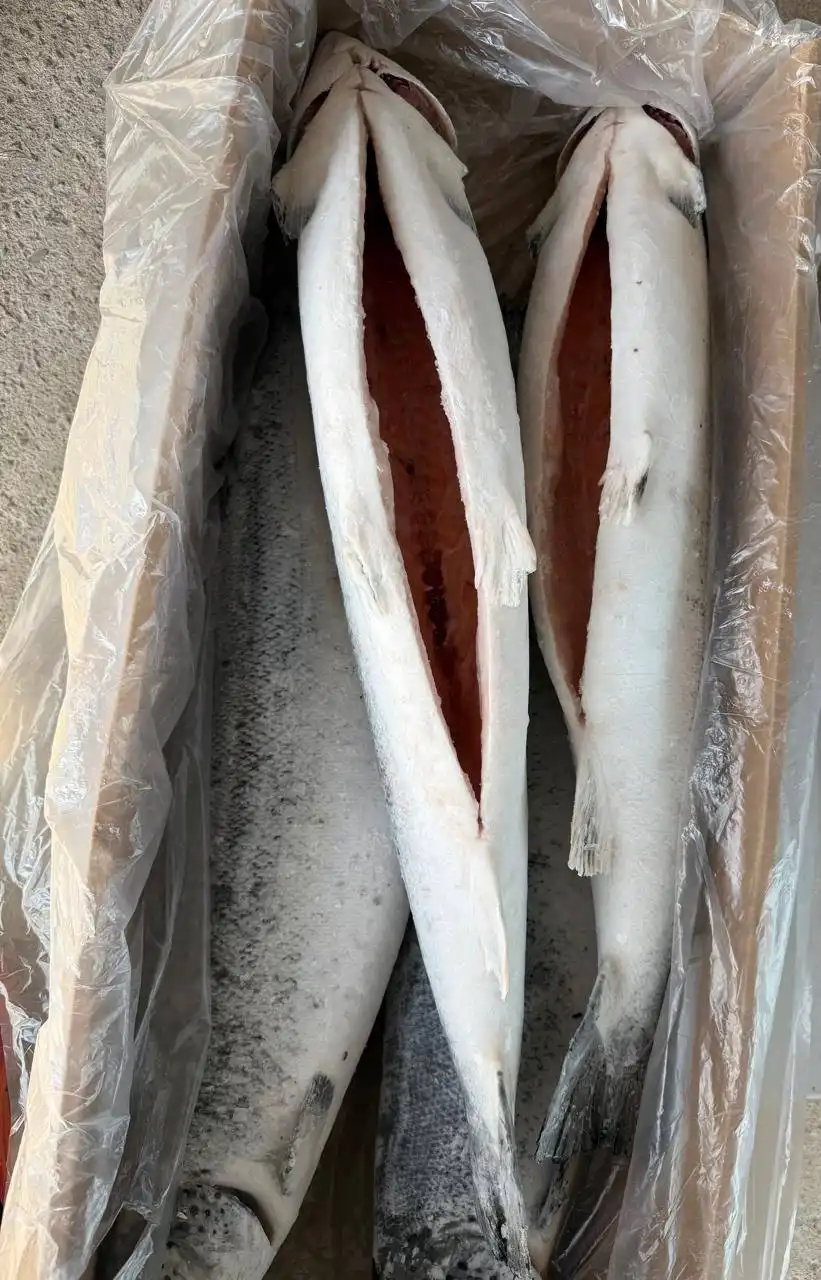 Семга премиум-качества 5-6 кг - Продукты питания (Барахолка) в Подольск