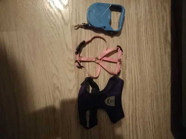 Вещи для кошек/собак в отличном состоянии - Аксессуары для животных в Подольск