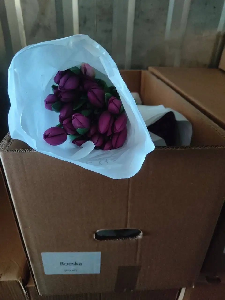 Продажа тюльпанов в Подольске - Растения (Хобби и отдых) в Подольск