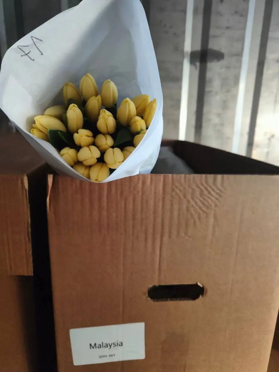 Продажа тюльпанов в Подольске - Растения (Хобби и отдых) в Подольск