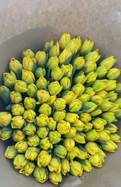 Тюльпаны в Подольске - Цветы в Подольск