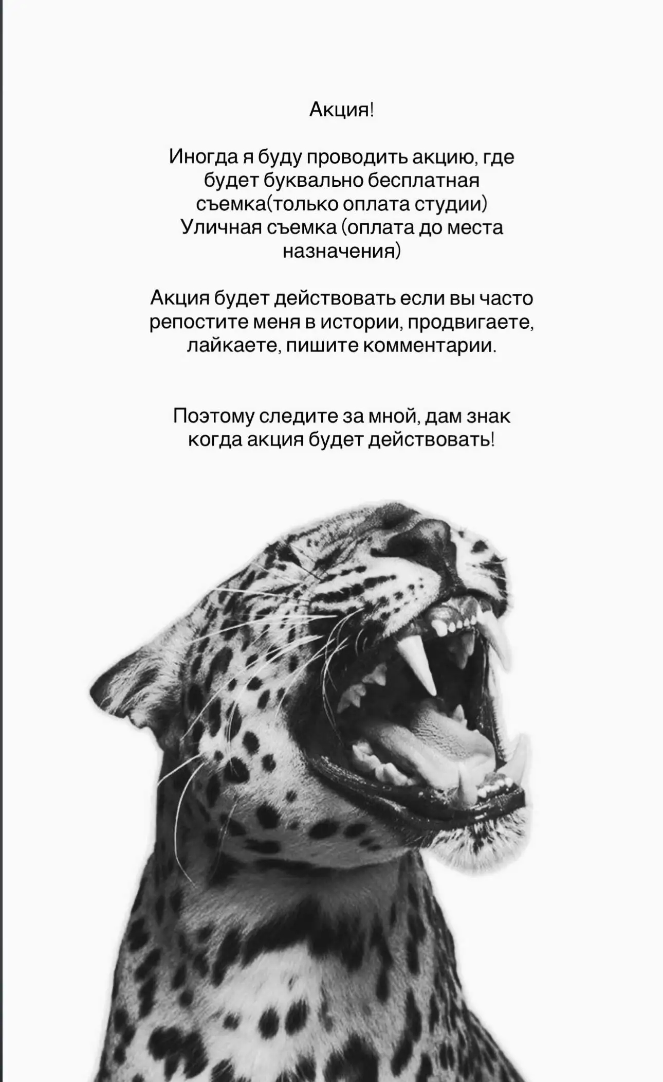 Бесплатная фотосъемка в Подольске - Фотосъемка (Услуги) в Подольск