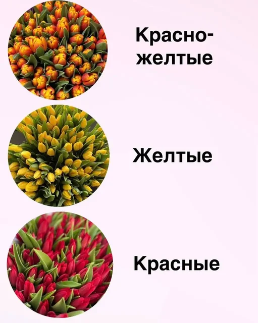 Предзаказ тюльпанов к 8 марта - Подарки в Подольск