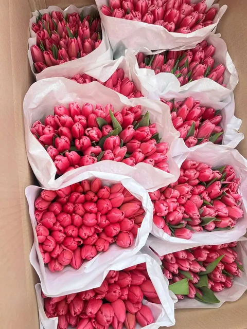 Продажа тюльпанов к 8 Марта - Подарки в Подольск