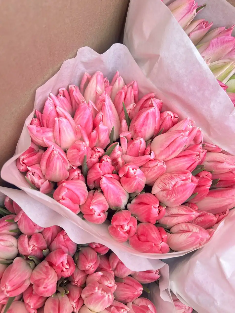 Продажа тюльпанов к 8 Марта - Цветы (Хобби и отдых) в Подольск