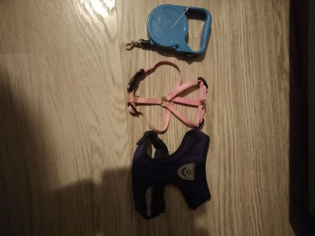 Вещи для собаки или кошки: рулетка, шлейки - Аксессуары для животных (Животные) в Подольск