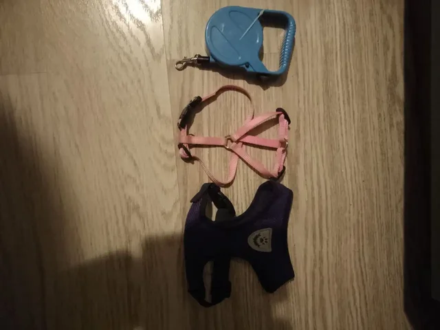 Вещи для собаки или кошки: рулетка, шлейки - Аксессуары для животных в Подольск