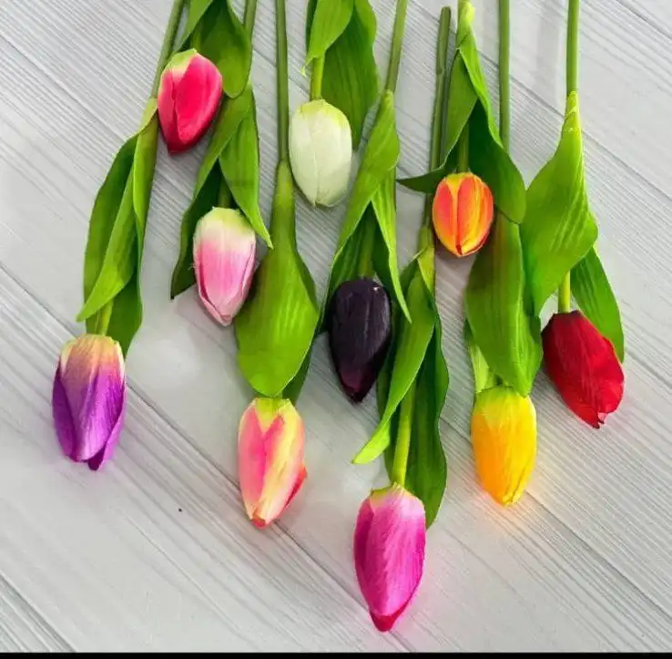 Одежда и обувь в Кировском - Одежда в Кировское