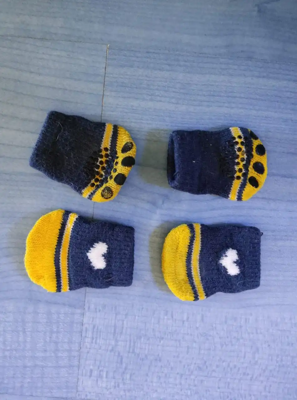 Бесплатные носочки для домашних животных