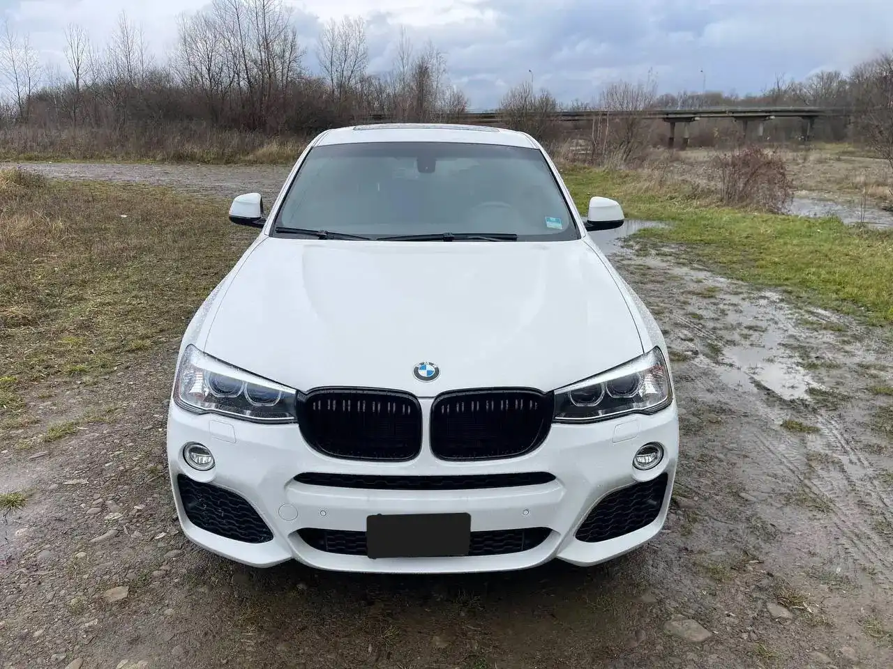 BMW X4 с пробегом 85 000 км