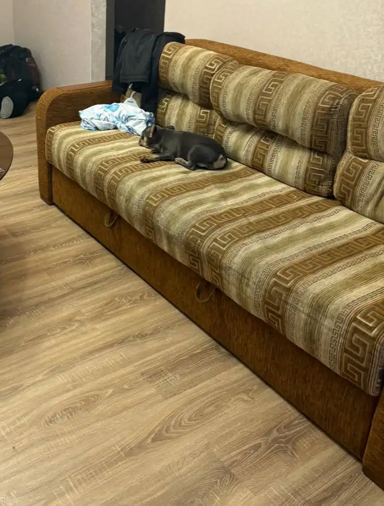 Отдам диван самовывозом