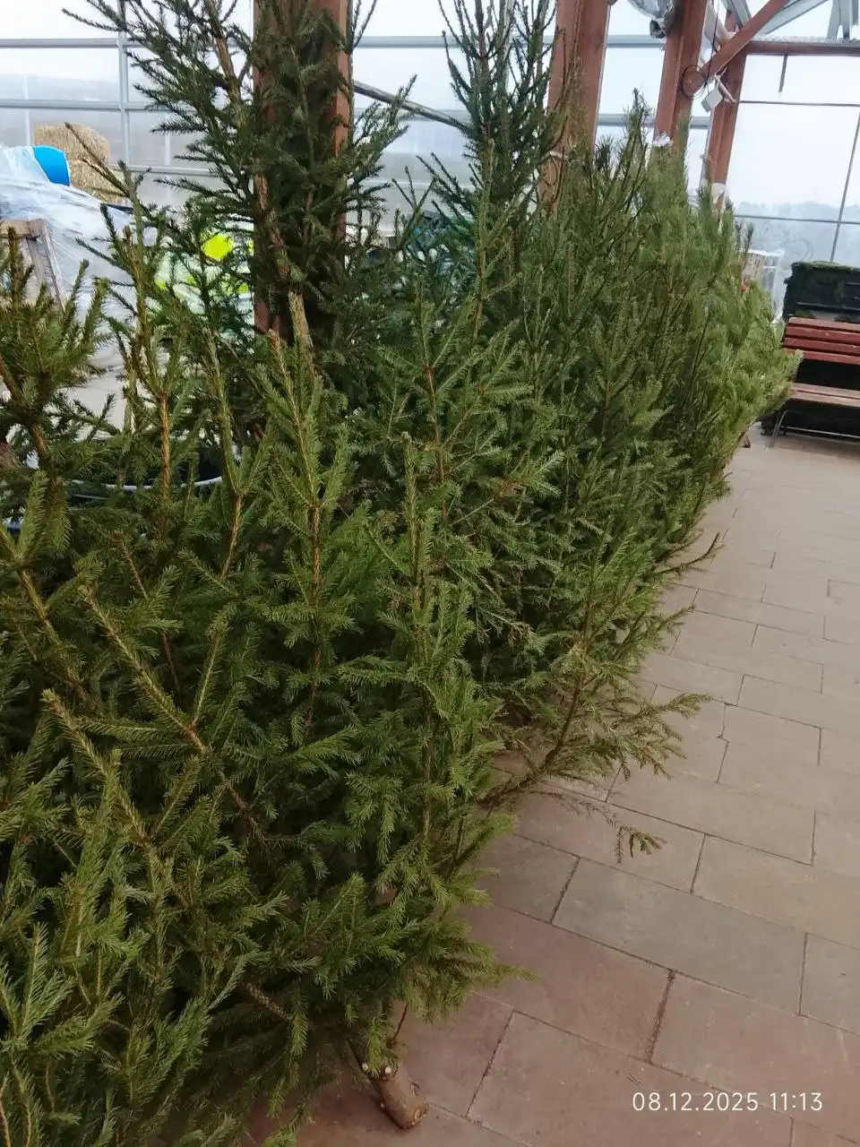 Продажа ёлок к Новому году