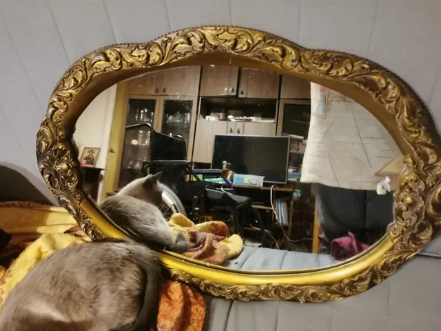 Зеркало - частное объявление в Химки