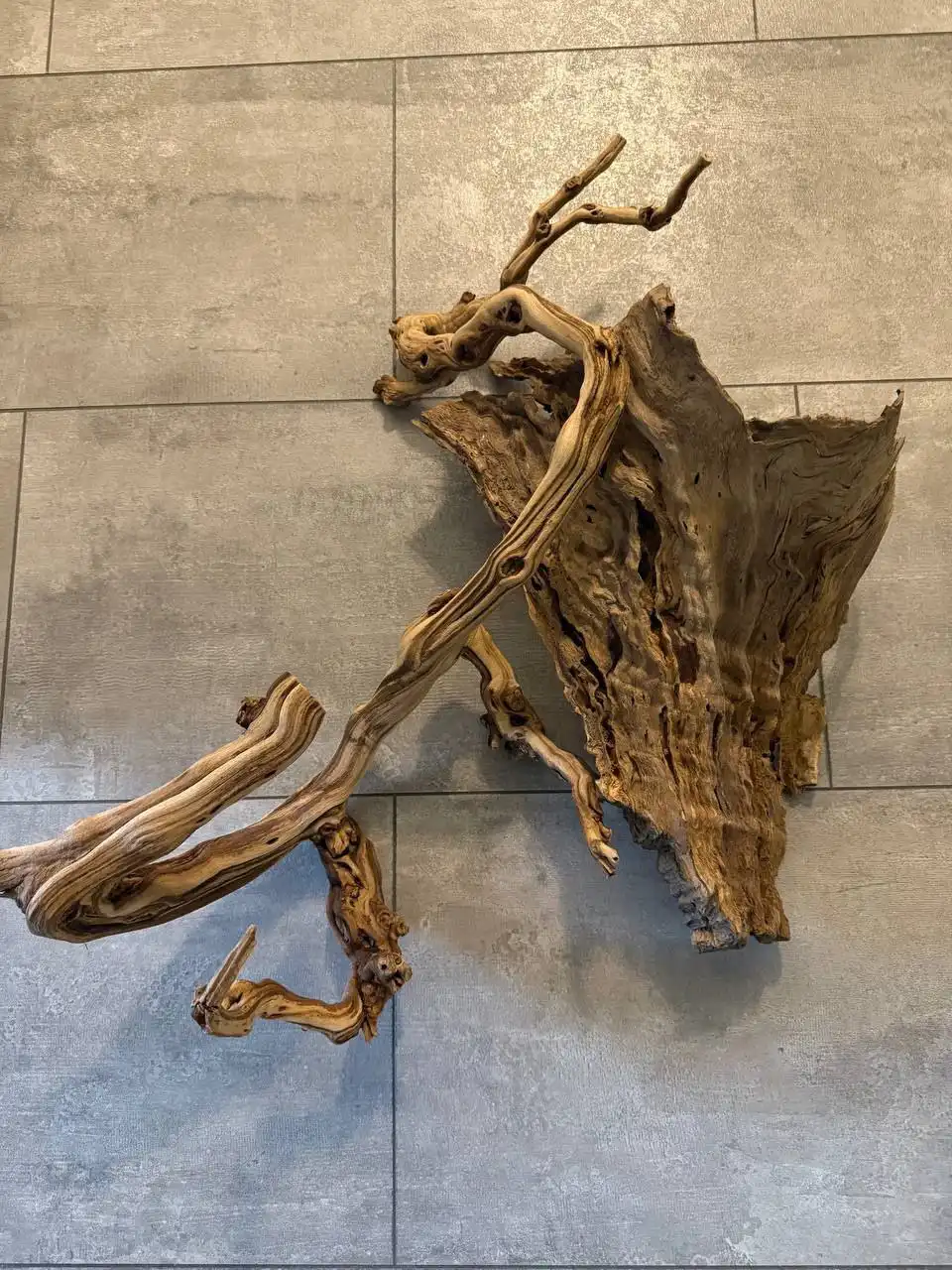 Коряги для террариума или аквариума