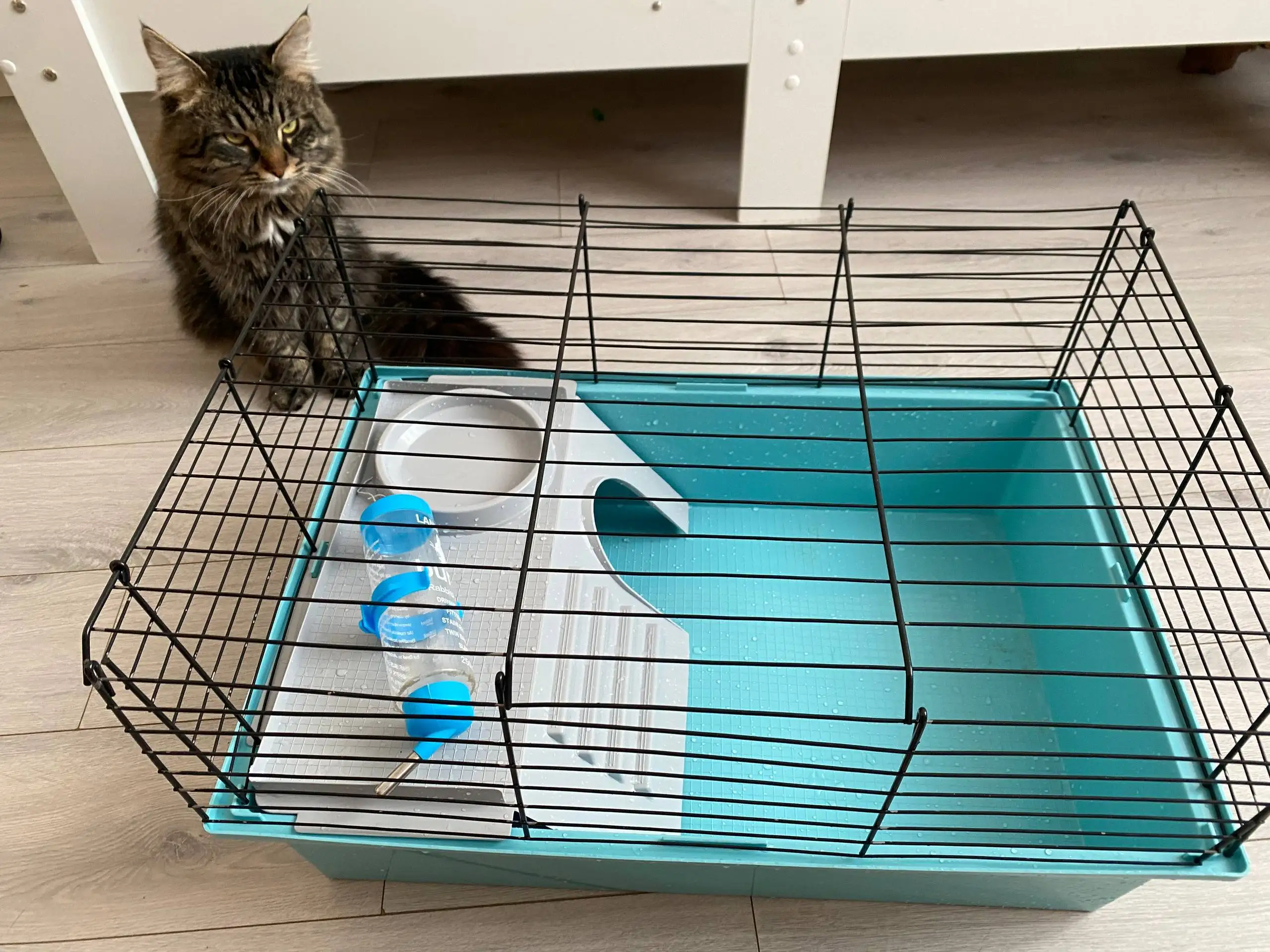 Отдам клетку для грызунов с поильником - Товары для грызунов (Животные) в Химки