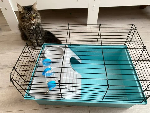 Отдам клетку для грызунов с поильником - Животные в Химки