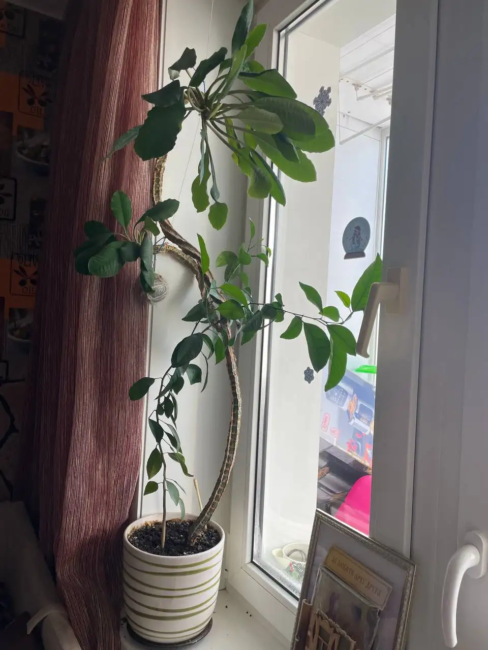 Продажа товара в Химках - Барахолка в Химки