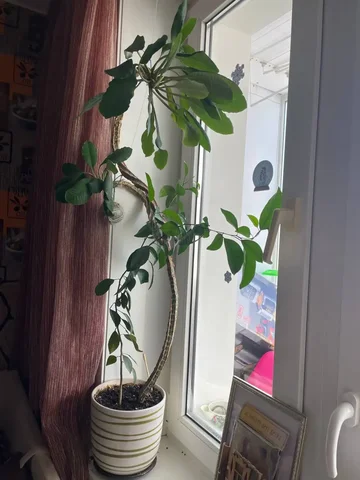 Продажа товара в Химках - Барахолка в Химки