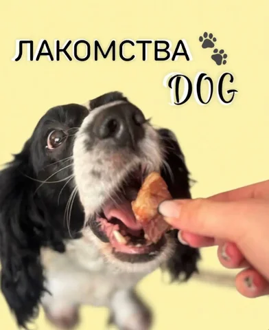 Лакомства для собак ручной сушки - Корма и лакомства в Химки