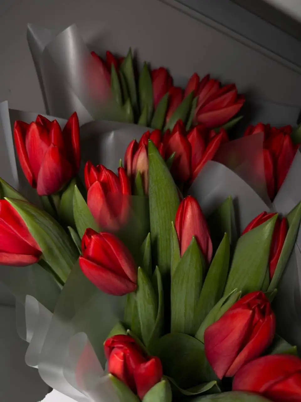 Голландские тюльпаны букеты к 8 марта - Хобби и отдых в Химки