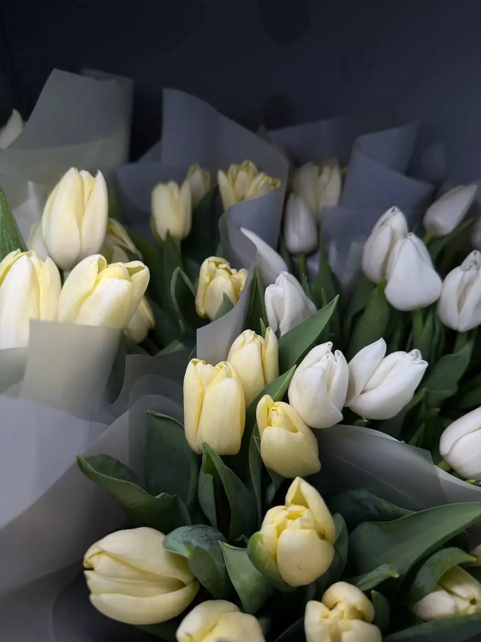 Голландские тюльпаны букеты к 8 марта - Хобби и отдых в Химки
