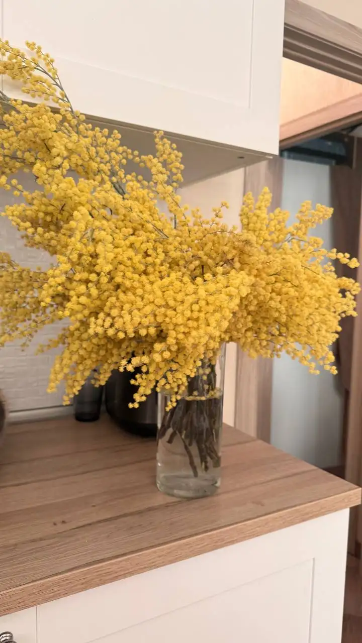 Букеты мимозы из Италии - Хобби и отдых в Химки