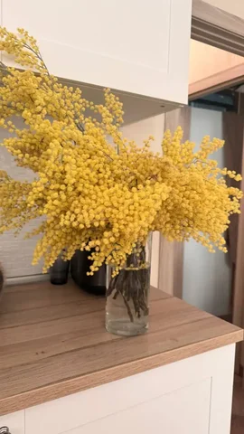 Букеты мимозы из Италии - Алмазная живопись в Химки