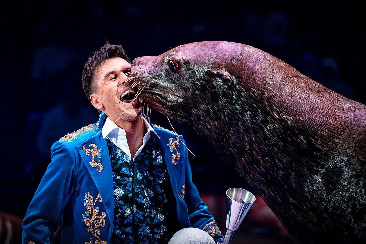 Экскурсии и туры от Азбука туризма - Туристические услуги (Услуги) в Химки