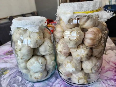 Продажа домашнего чеснока - Барахолка в Химки