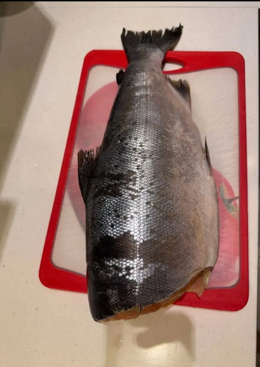 Свежий кижуч с Дальнего Востока - Рыба и морепродукты (Барахолка) в Химки