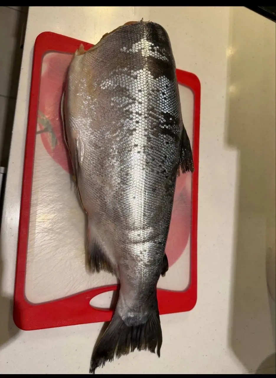 Свежий кижуч с Дальнего Востока - Рыба и морепродукты (Барахолка) в Химки