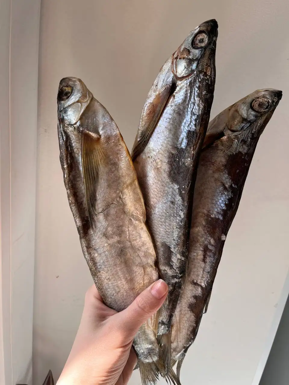 Свежая чехонь из Самарской области - Продукты питания (Барахолка) в Химки