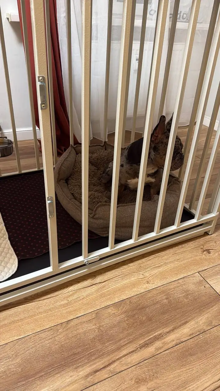 Прочная клетка с выдвижным поддоном - Клетки и аксессуары для животных (Животные) в Химки