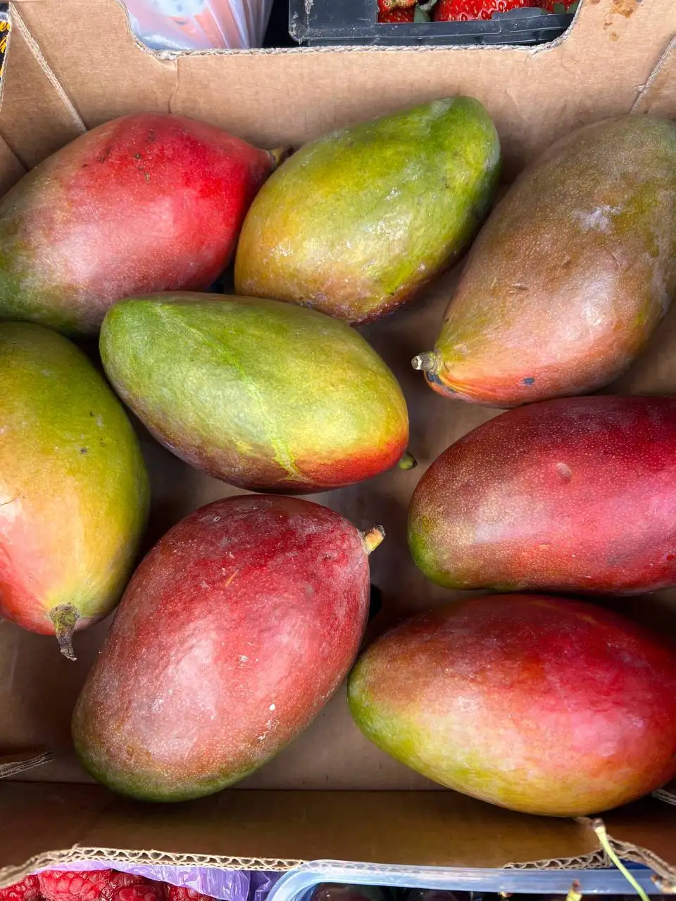 Завоз свежих фруктов и ягод 20 числа - Фрукты и ягоды (Продукты) в Химки