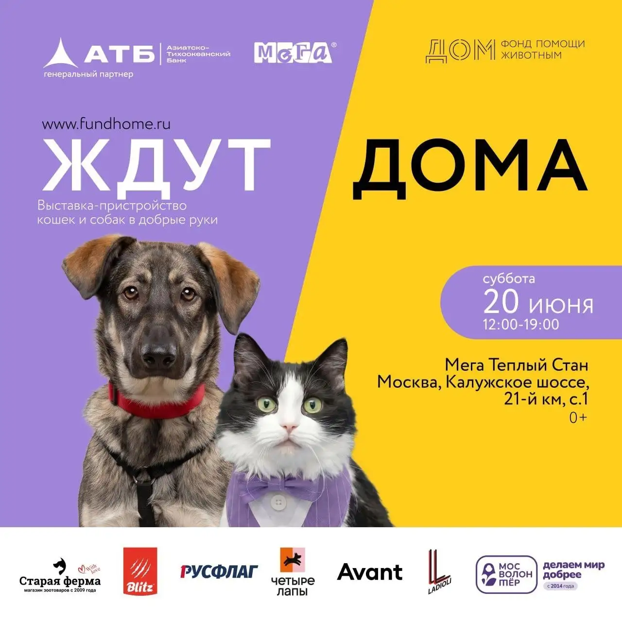 Выставка-пристройство кошек и собак «Ждут ДОМа» - Животные в Москва