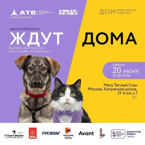 Выставка-пристройство кошек и собак «Ждут ДОМа» - Корм для собак в Москва