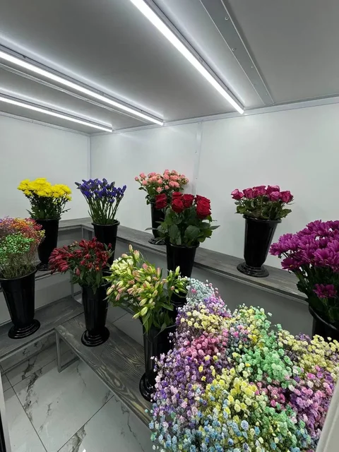 Продам цветочный холодильник с наружным блоком - Франчайзинг в Москва