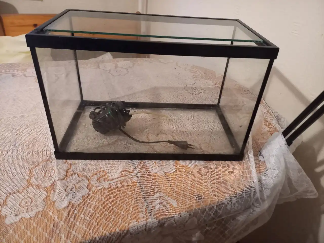 Аквариум в идеальном состоянии