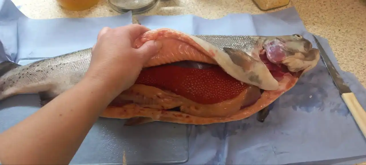 Свежая охлажденная форель, семга и морепродукты на заказ