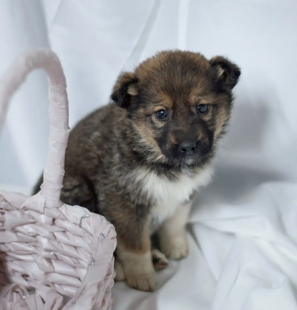 Девочка Тася ищет любящую семью