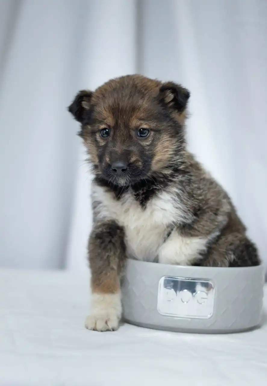 Девочка Тася ищет любящую семью