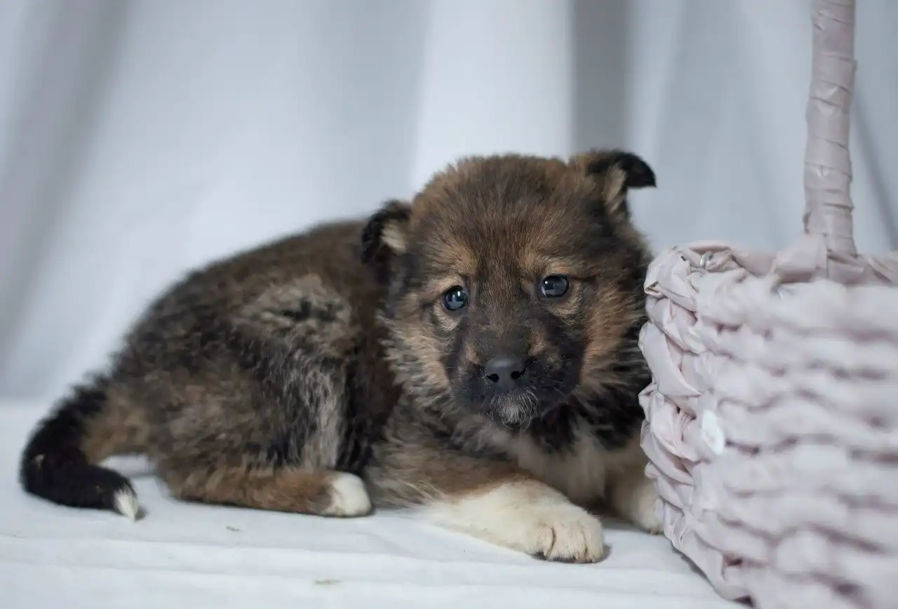 Девочка Тася ищет любящую семью