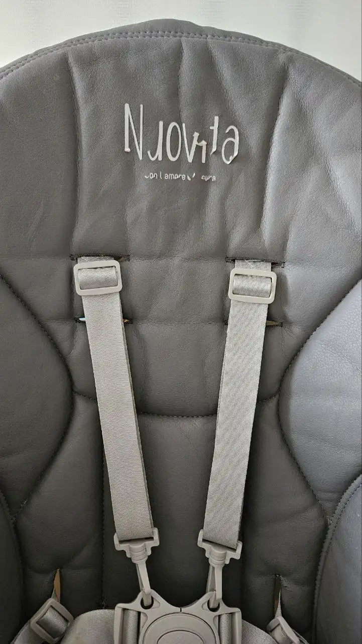 Стульчик для кормления Nuovita Futuro