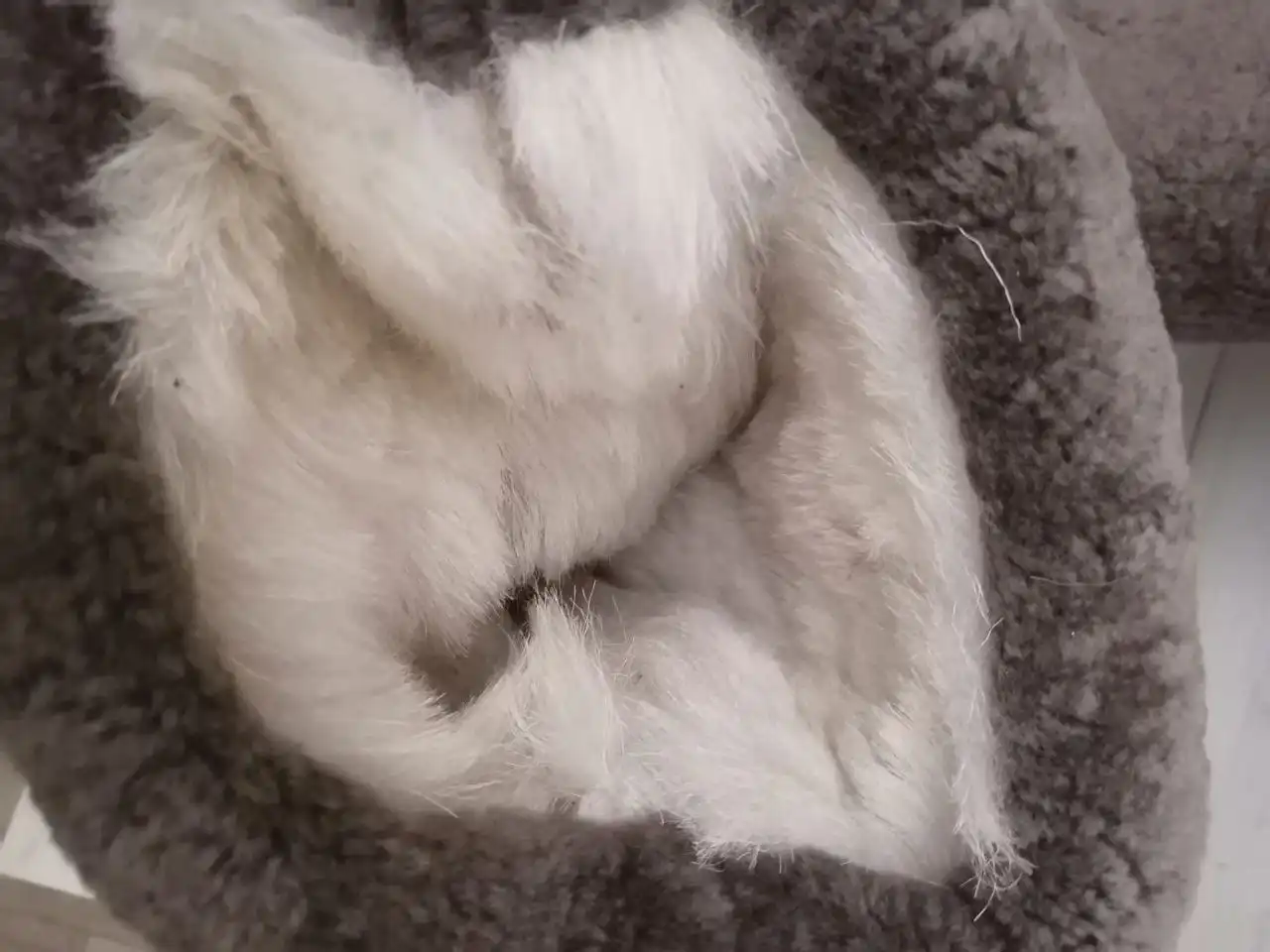 Угги натуральный мех цигейка размер 45