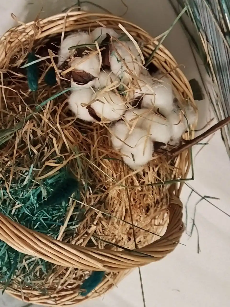 Высокий букет из сухоцветов и декор для дома