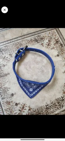 Ошейник новый 30 см - Аксессуары для животных в Красногорск