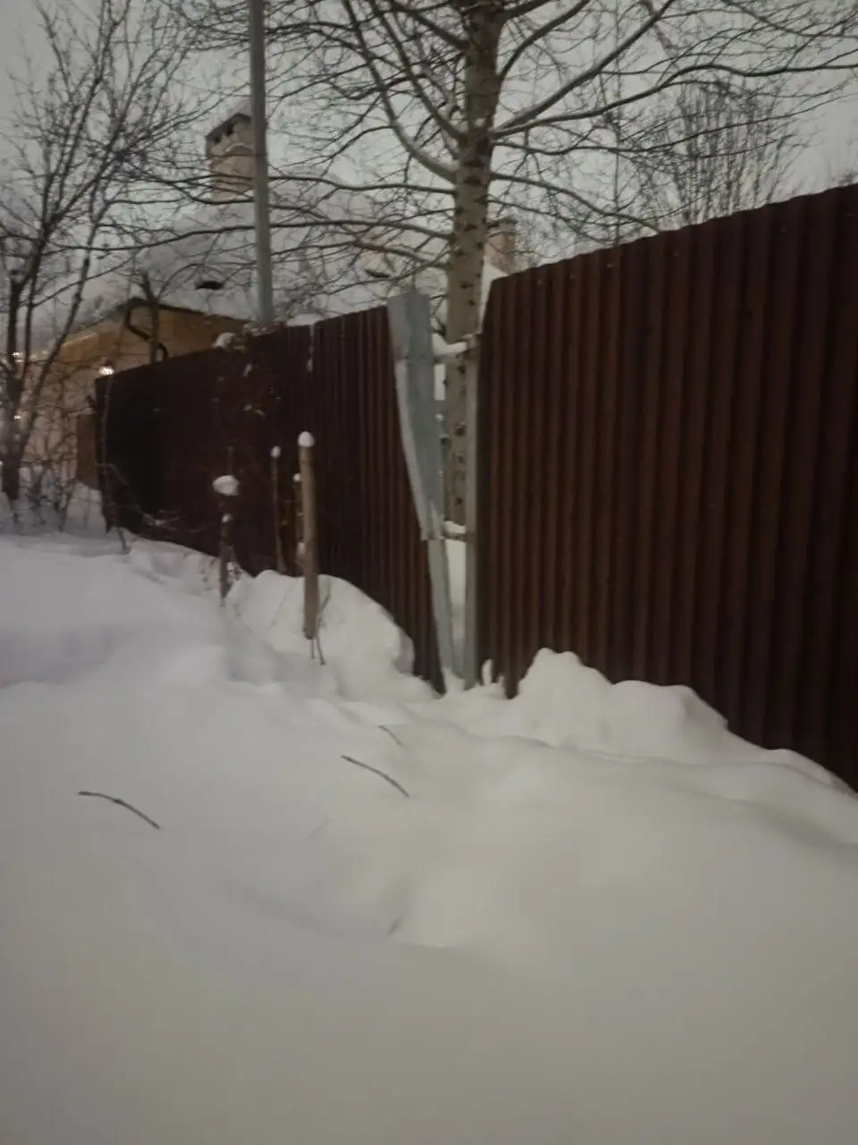 Пес Бари ищет дом или передержку - Собаки (Животные) в Красногорск