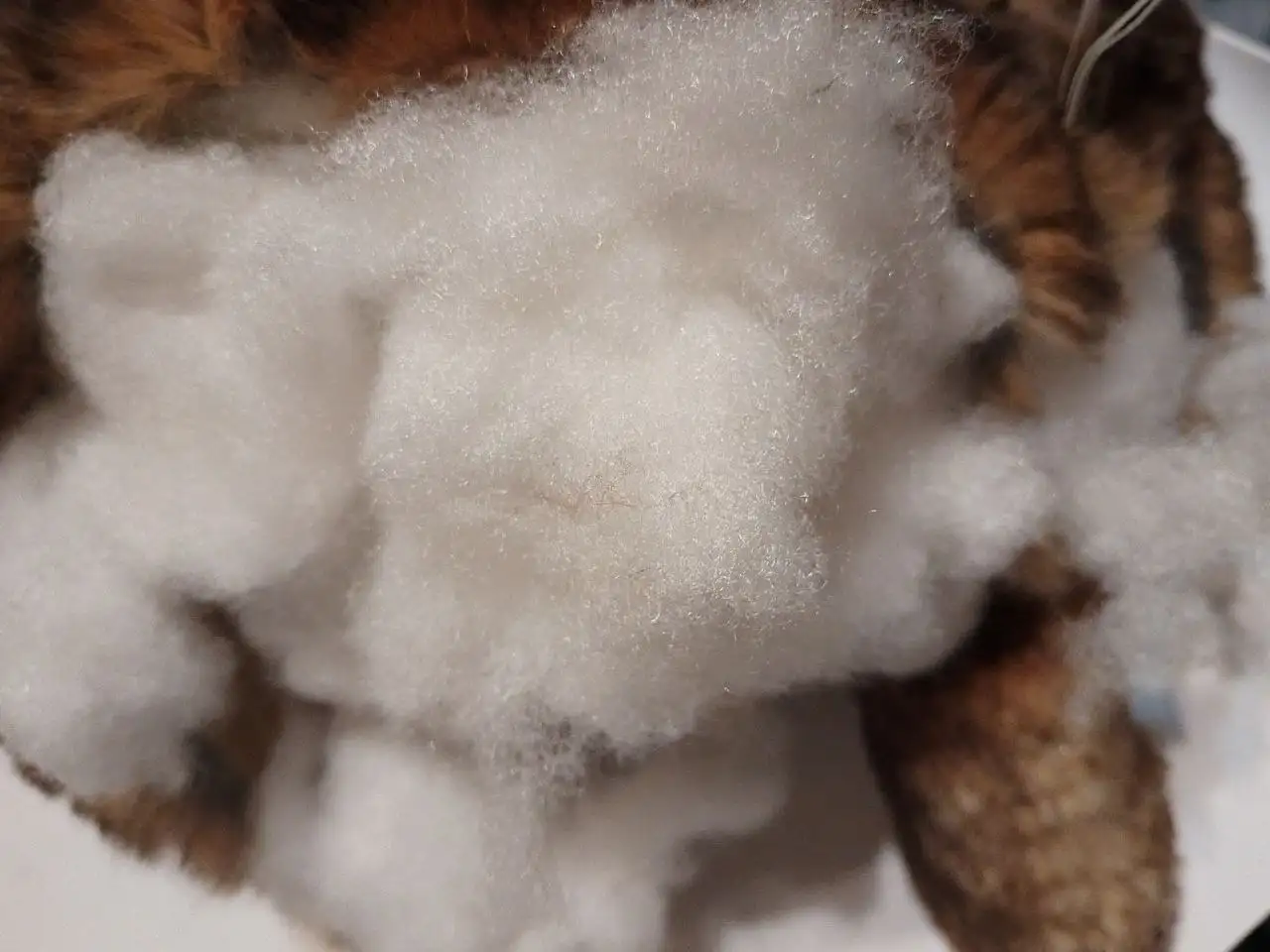 Итальянская игрушка шиншилловый песик под разбор - Игрушки (Хобби и отдых) в Красногорск